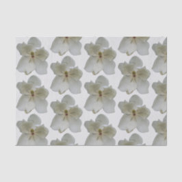 ホワイトマグノリアスオンティッシュペーパー 薄葉紙