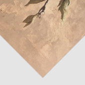 ホワイトマグノリアス金ゴールドデカップティッシュペーパー 薄葉紙 (詳細)