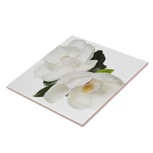ホワイトマグノリアフラワーマグノリアフローラフラワーズ タイル (側面)
