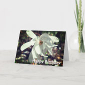 ホワイトマグノリアフラワー誕生日カード カード (正面)