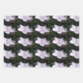 ホワイトマグノリア包装紙フラットシートセット3 ラッピングペーパーシート (正面3)