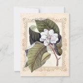 ホワイトマグノリア南部の結婚式の日付を保存 セーブザデート (正面)