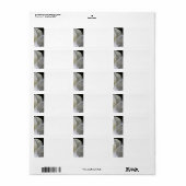 ホワイトマグノリア結婚ズ住所 シール (フルシート)