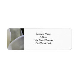 ホワイトマグノリア結婚差出人住所ラベル ラベル