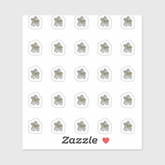 ホワイトマグノリア輪郭ステッカー シール (シート)