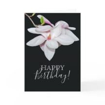 ホワイトマグノリア