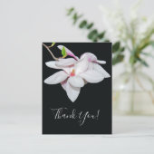 ホワイトマグノリア ポストカード (スタンド正面)