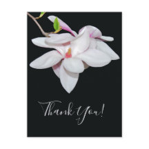 ホワイトマグノリア