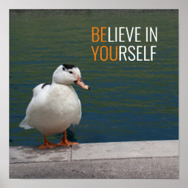 ホワイトマラードアヒルの写真 ポスター