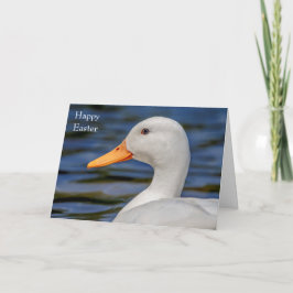 ホワイトマラードアヒル シーズンカード