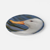 ホワイトマラードアヒル ペーパープレート (アングル)