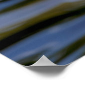 ホワイトマラードアヒル ポスター (角)