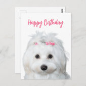 ホワイトマルタeseの優しい甘さ ポストカード (正面/裏面)