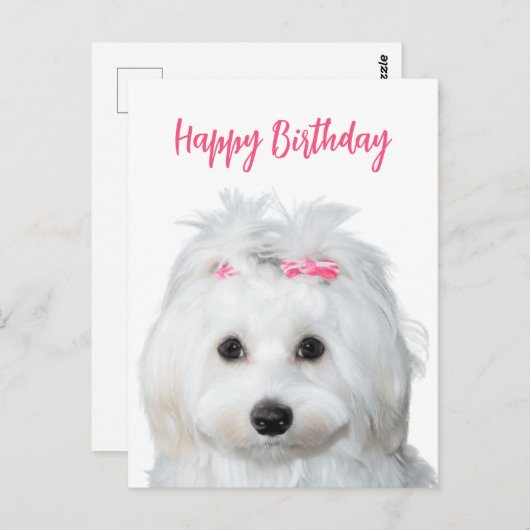 ホワイトマルタeseの優しい甘さ ポストカード (正面/裏面)