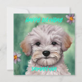 ホワイトマルチーズパピー斑入りグリーンハッピーバースデー シーズンカード (正面)