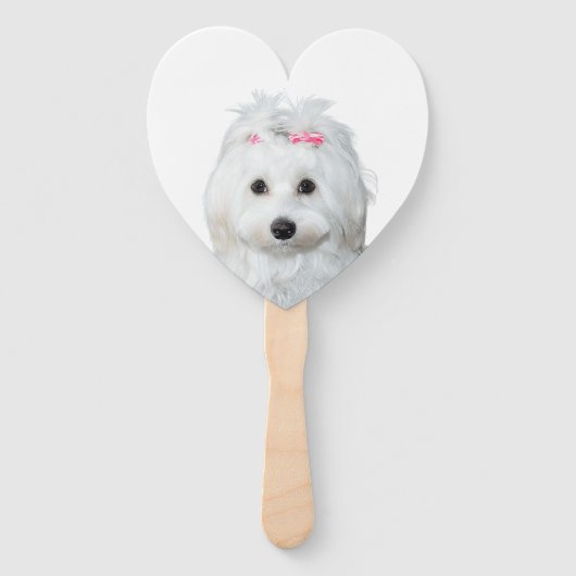 ホワイトマルチーズ柔らかい甘さラベル ハンドファン (正面)