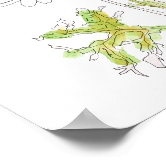 ホワイトマーガレットデイジーインクと水彩画 ポスター (角)