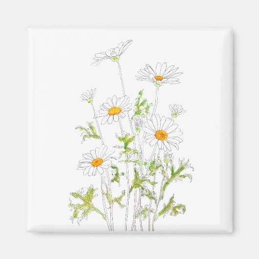 ホワイトマーガレットデイジーインクと水彩画 マグネット (正面)