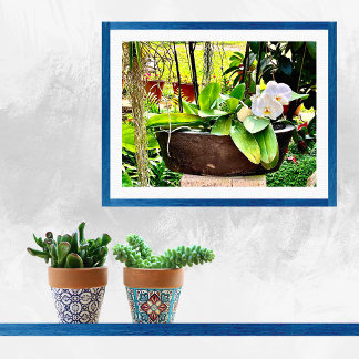 ホワイトムーンオーキッド ポスター