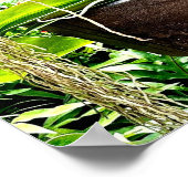 ホワイトムーンオーキッド ポスター (角)