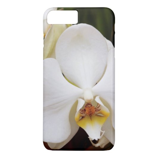 ホワイトムーンオーキッド (Phalaenopsis Aphrodite) Case-Mate iPhoneケース (裏面)