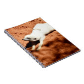 ホワイトメルカートストレッチ、ノートブック ノートブック (右側)