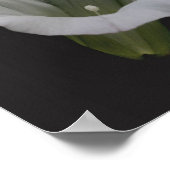 ホワイトモーニンググローリーフラワー鏡抽象芸術 ポスター (角)