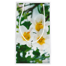 ホワイトユリ - ユリの花 Lilium candidum スモールペーパーバッグ