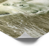 ホワイトライオンズアートポスター/プリント ポスター (角)