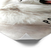 ホワイトライオンプライドポスター ポスター (角)