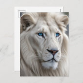 ホワイトライオン シーズンポストカード (正面/裏面)