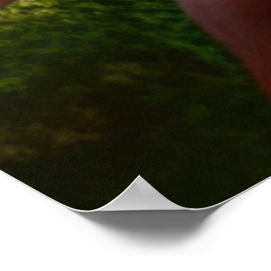 ホワイトライオ威厳のあるンゴールデンアイズエーテル美術 ポスター (角)