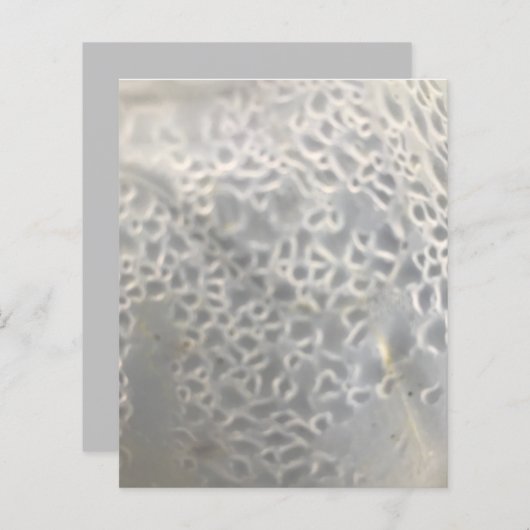 ホワイトライトグレーバブルくもの巣スクラップブック紙 (正面/裏面)