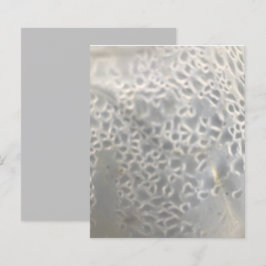 ホワイトライトグレーバブルくもの巣スクラップブック紙