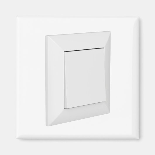 ホワイトライトスイッチ マグネット (正面)