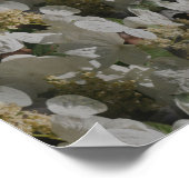 ホワイトラケキャップアジサイフローラ鏡抽象芸術 ポスター (角)