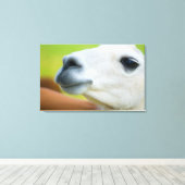 ホワイトラマ キャンバスプリント (インサイチュ (ウッドフロア))