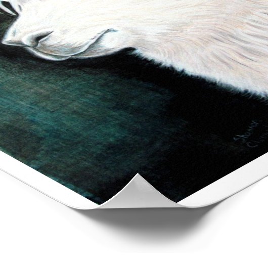 ホワイトラマ ポスター (角)