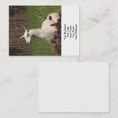 ホワイトラマ 名刺 (正面/裏面)