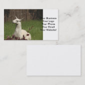 ホワイトラマ 名刺 (正面/裏面)