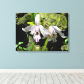 ホワイトランカンバス キャンバスプリント (インサイチュ (ウッドフロア))