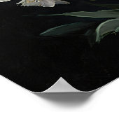 ホワイトラークスパーフラワーアートプリントポスター ポスター (角)