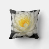 ホワイトリイ写真 クッション (裏面)