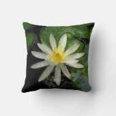 ホワイトリイ写真 クッション (裏面)