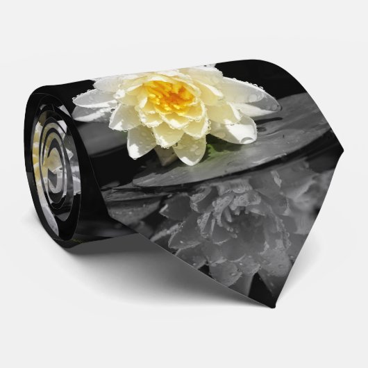 ホワイトリイ写真 ネクタイ (ロール)