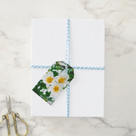 ホワイトリイ – ユリ花ユリ候補 ギフトタグ