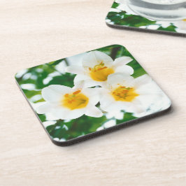 ホワイトリイ – ユリ花ユリ候補 コースター