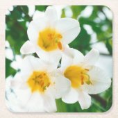 ホワイトリイ – ユリ花ユリ候補 スクエアペーパーコースター (正面)