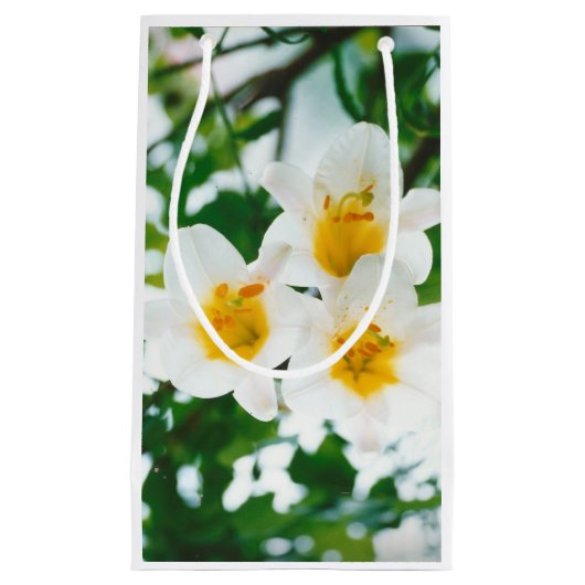 ホワイトリイ – ユリ花ユリ候補 スモールペーパーバッグ (正面)