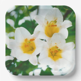 ホワイトリイ – ユリ花ユリ候補 ペーパープレート